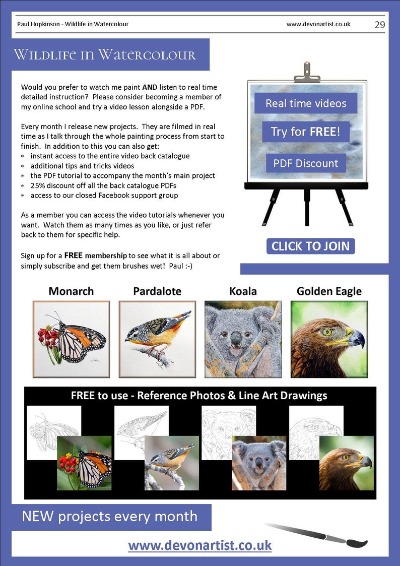 The last page of the lesson with written details about Paul's online watercolor video tutorials.  There are also illustrations of 4 more PDFs that can be purchased, a monarch butterfly, pardalote bird, koala and golden eagle.