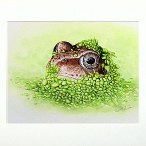 The original frog painting in a cream coloured mount.