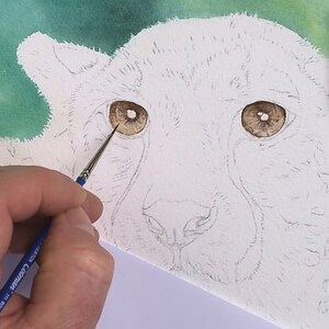 An early stage of the painting, as Paul works on the ochre coloured eyes.  He has painted the irises and is working on the darker details.  There's a green background behind the animal.