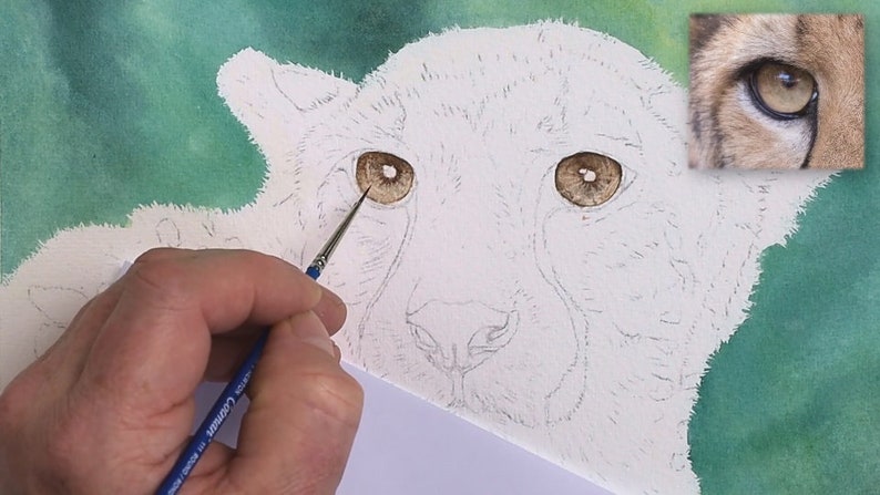 An early stage of the painting, as Paul works on the ochre coloured eyes.  He has painted the irises and is working on the darker details.  There's a green background behind the animal.