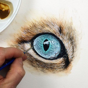 Paul finishing off a highly detailed watercolour painting of a cat's eye.  The eye looks real, it is a lovely aqua blue with streaks of green and indigo.  There is a shine and reflection.  The eye is surrounded by tabby fur.