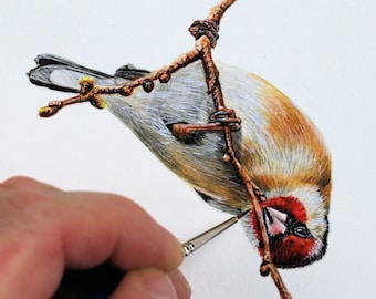 Learn to Paint Birds in Watercolour, Realistic Goldfinch Step by Step PDF Tutorial, Illustration Painting Lesson, Watercolor Wildlife Art