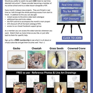 This is the last page of the lesson, and it gives the buyer information about the video tutorials that the seller also has for sale.  There are 4 images which show other PDFs that can be bought.  A gecko, cheetah, grass seed head study and a crane.