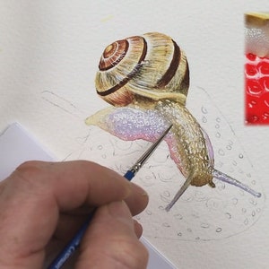 The stripy shell is painted, and Paul is working on the body, this is translucent in places showing the red strawberry through.  The body is a browny yellow, with pinks and mauves under the shell.
