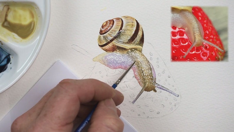 The stripy shell is painted, and Paul is working on the body, this is translucent in places showing the red strawberry through.  The body is a browny yellow, with pinks and mauves under the shell.