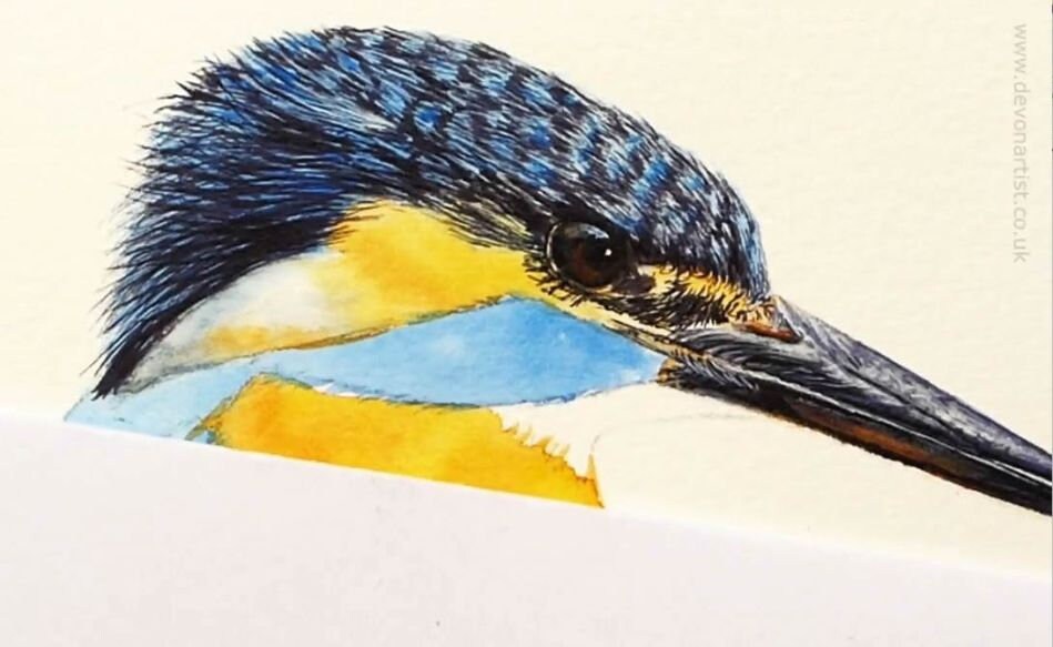 カワセミの水彩画チュートリアル：リアルな鳥のアート（PDF