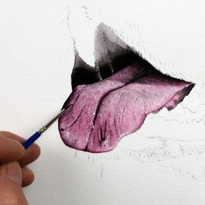 Könnte beinhalten: Eine Nahaufnahme eines Aquarells von einem Hundemaul mit herausgestreckter Zunge. Die Zunge ist in Rosatönen gemalt, das Maul in Grautönen.