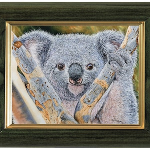 Original Watercolour Koala Painting, Realistic Fine Art Illustration, Watercolor Wildlife Artwork image 2