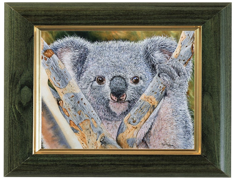 Original Watercolour Koala Painting, Realistic Fine Art Illustration, Watercolor Wildlife Artwork image 2
