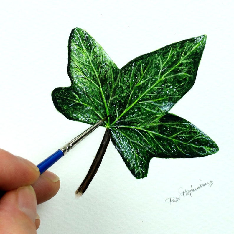 ORIGINAL Botanical Watercolor Leaf Illustration, Realistic Fine Art Ivy Leaf Watercolour Painting, Nature Wall Art, Paul Hopkinson Painting image 1