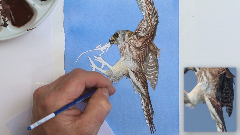 Paul is using a tiny brush in this photo to add realistic fine details to the bird's plumage.  The wings are mainly brown with grey patterning, and the legs a pale grey.