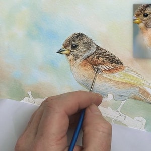 In this photo, Paul is adding the fine details to the bird's wing feathers.  He has already applied lots of very tiny details on the head, and a first layer of feather detail on the belly.