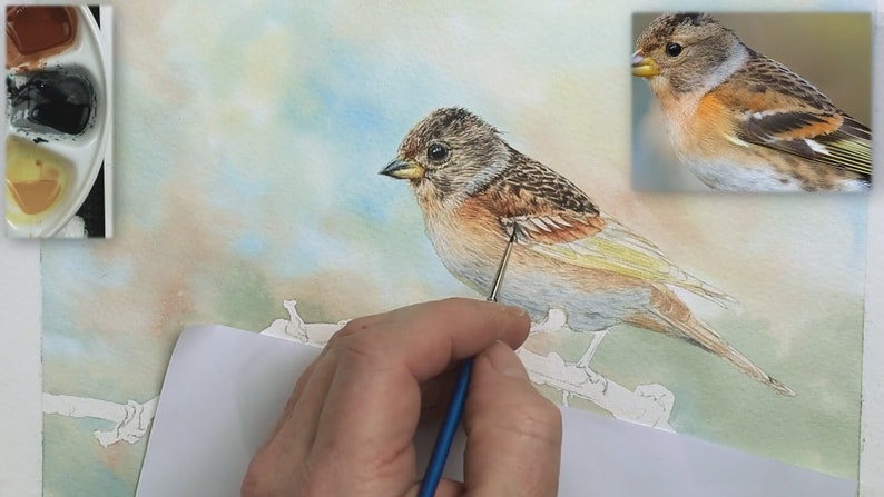 In this photo, Paul is adding the fine details to the bird's wing feathers.  He has already applied lots of very tiny details on the head, and a first layer of feather detail on the belly.