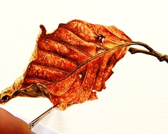 How to Paint Realistic Leaves in Watercolour, Watercolor Leaf PDF Tutorial, Leaf Painting, Botanical Illustration, Art E-book Download