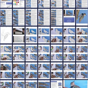 The whole lesson laid out as a collage of pages arranged in a grid formation.  These start with photos alongside text, and end with masses of large photos.  These follow Paul's own painting as he works on it from start to finish.