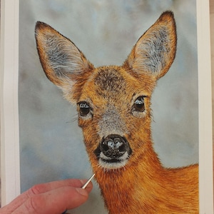 Paint Realistic Animals in Watercolour, Learn to Paint Wildlife in Watercolor, Deer Painting Tutorial, Instant Downloadable Art Lesson