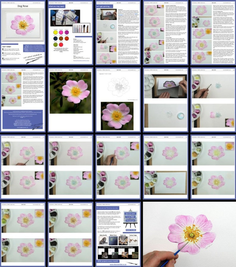 An overview image of all the pages in this painting tutorial.  There are pages with written text alongside photos of Paul's work, and also lots of larger photos of his work in progress too.  The project is laid out in steps.