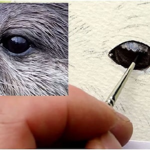 Learn to Paint Realistic Animals, Watercolor Painting Tutorial, PDF Art ...