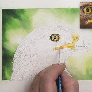 Paul has painted the eye in this photo, and is working on the yellow section of the beak.  This forms the gape which runs back just below the eye.