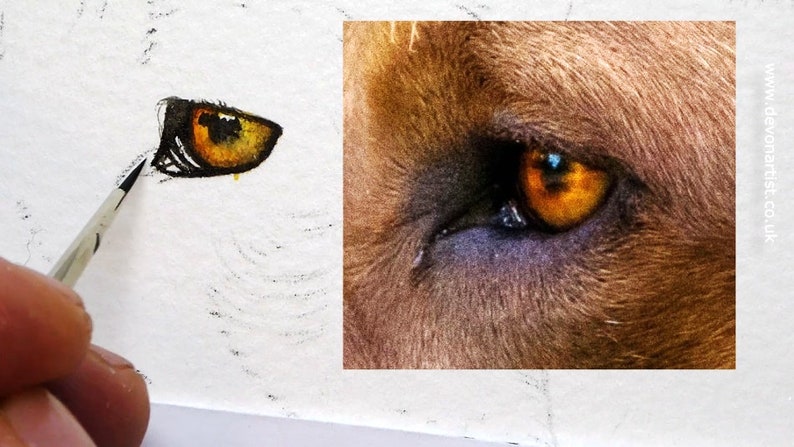 An early photo of Paul's painting as he works on the fine detail within the eye.  This is a mix of oranges and yellows and is looking to the left.