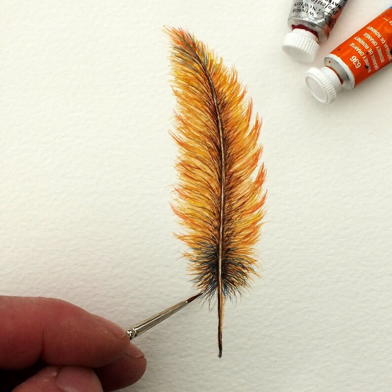 Original Watercolour Feather Paintings, Colourful Watercolor Wall Art, Affordable Art, Feather Art 5. Sunrise