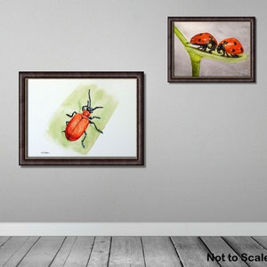 ORIGINAL Watercolour Insect Illustration, Watercolour Wildlife Artwork, Scarlet Lily Beetle Painting, Realistic Watercolor Art, Insect Gift image 5