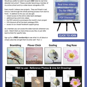 The last page of the lesson, which gives written details about video lessons that the artist also sells online.  Underneath are images of 4 more PDF lessons that can be bought, a brambling bird, a chick, a gosling and a rose.