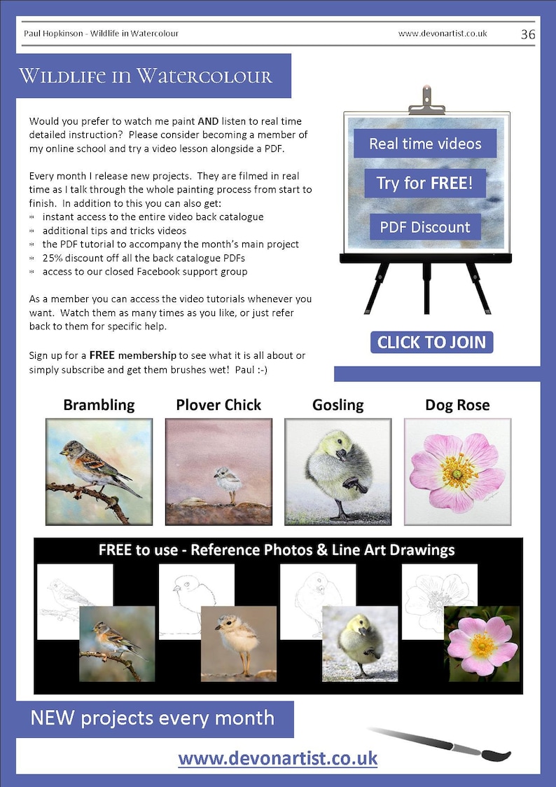 The last page of the lesson, which gives written details about video lessons that the artist also sells online.  Underneath are images of 4 more PDF lessons that can be bought, a brambling bird, a chick, a gosling and a rose.