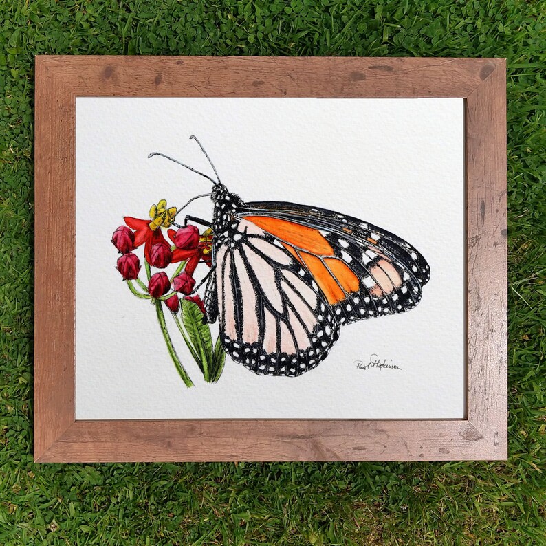 The monarch painting is shown in a brown, wooden frame which has been laid on a close cut lawn.