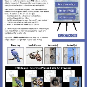 The last page of the tutorial, page 37.  This has 4 more tutorials illustrated, a blue jay, pine cones, American kestrel chick and adult.  There's also written information on the video lessons Paul also sells.