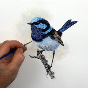 Puede incluir: Pintura detallada de un pequeño pájaro con plumas azules, negras y blancas posado en una rama. El pájaro está siendo pintado con un pincel fino sostenido por una mano. La obra de arte está sobre un fondo blanco.