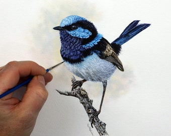 Fairy Wren Watercolor Painting Lesson, Fine Art PDF Watercolour Tutorial, Learn How to Paint Birds, Wildlife Art E-Book, Painting Kit