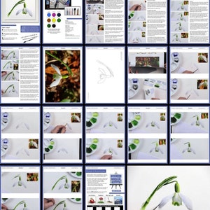A screenshot of all the pages within this lesson on painting an illustration of a snowdrop using watercolours.  Packed full of instructions on how to paint your own snowdrop.
