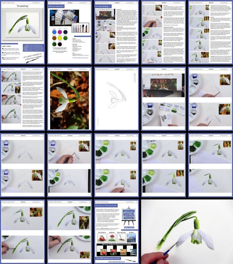 A screenshot of all the pages within this lesson on painting an illustration of a snowdrop using watercolours.  Packed full of instructions on how to paint your own snowdrop.