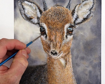 ORIGINAL Dik-dik Watercolour Painting, Realistic Fine-Art Antelope Portrait
