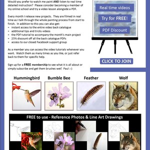The last page of the ebook which has details about the video lessons that are also available.  There are also images showing 4 more PDFs that can be bought from Etsy, a hummingbird, flower with a bumblebee on it, a feather and a wolf.