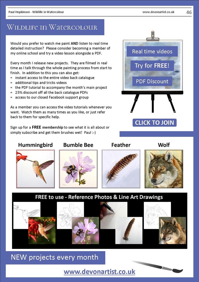 The last page of the ebook which has details about the video lessons that are also available.  There are also images showing 4 more PDFs that can be bought from Etsy, a hummingbird, flower with a bumblebee on it, a feather and a wolf.