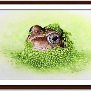 The frog painting in a dark brown frame with an off-white mount