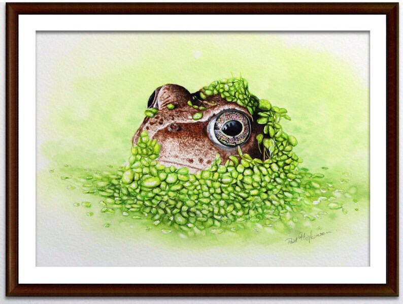 The frog painting in a dark brown frame with an off-white mount