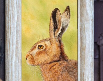 オリジナル水彩画「うさぎ」、水彩画、リアルな野生動物のイラスト