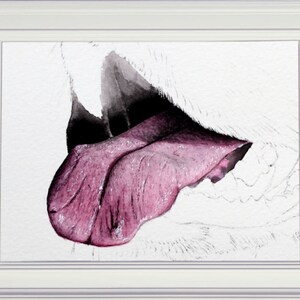 The finished illustration of a dog's tongue in a white frame.  The tongue is a pink colour, and looks realistic and lifelike, with all the fine details painted onto the surface, and a suggestion of the mouth around the edge.