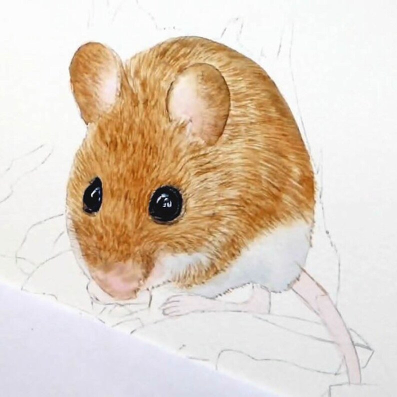 Paul has added the first layers of brown fur to the mouse, but this is not finished.  At this stage it looks quite flat and doesn't have much shape.