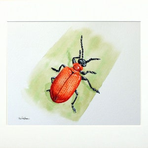 ORIGINAL Watercolour Insect Illustration, Watercolour Wildlife Artwork, Scarlet Lily Beetle Painting, Realistic Watercolor Art, Insect Gift image 7