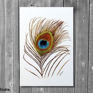 ORIGINAL Peacock Feather Watercolour Painting Watercolor Fine - Etsy