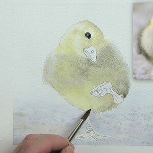 An early work-in-progress photos showing Paul painting the base wash on the Gosling's body.  He has already finished work on the eye which has a little glint of life.