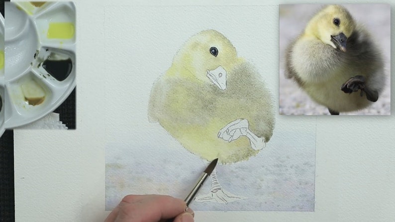 An early work-in-progress photos showing Paul painting the base wash on the Gosling's body.  He has already finished work on the eye which has a little glint of life.