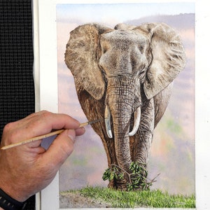 ORIGINAL Watercolor Elephant Painting, Realistic Watercolour Wildlife Artwork, Illustration Style Painting