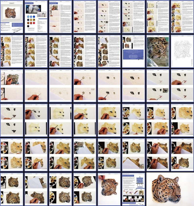 An overview collage of the whole watercolour lesson, which has over 40 pages in all.  The tutorial is laid out with written guidance alongside photos of Paul's painting as it progresses through each stage.