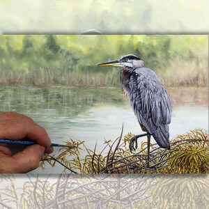 Peut inclure: Peinture à l'aquarelle d'un grand héron bleu perché sur une branche près d'un plan d'eau. L'oiseau a des plumes grises et bleues, un long bec jaune et se détache sur un fond de feuillage vert. Une main tient un pinceau.