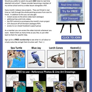 The last page of the lesson, with details on the video lessons the artist sells online.  There's also photos of 4 more PDFs, a sea turtle. blue jay bird, pine cones and a kestrel in a tree trunk.